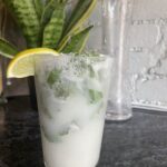 A frothy drink in a glass with ice, garnished with a lemon wedge and mint leaves, sits on a dark countertop with a tall plant and a clear glass pitcher in the background.